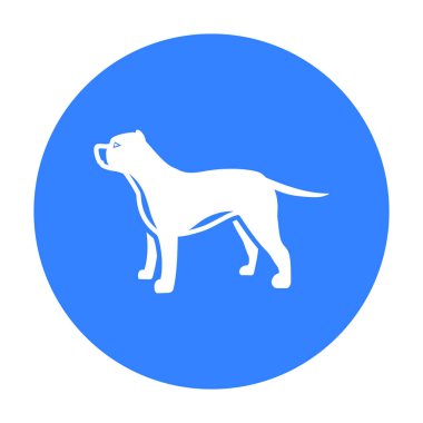 Pitbull vektör simge siyah stil web için