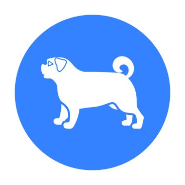 Pug vektör simge siyah stil web için