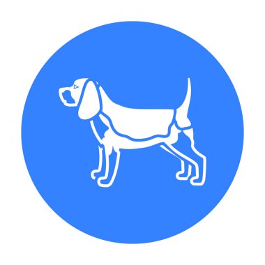 Beagle vektör simge siyah stil web için