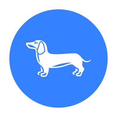 Dachshund vektör simge siyah stil web için