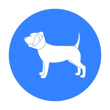 Elizabethan yaka simge siyah stil beyaz arka plan üzerinde izole içinde köpek. Hayvan hastalıklarıyla ilgili klinik sembol stok vektör çizim.