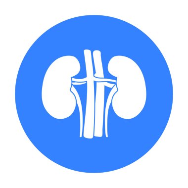 Böbrek simge siyah stil beyaz arka plan üzerinde izole içinde. Organları sembol stok vektör çizim.