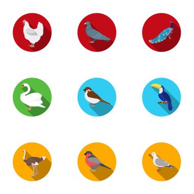 Kuş simgeler düz stil ayarlayın. Büyük kuş vektör simge stok illüstrasyon topluluğu
