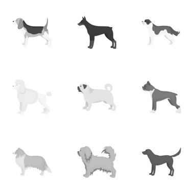Köpek ırkları tek renkli bir tarzda Icons set. Köpek doğurmak büyük koleksiyonu sembol stok illüstrasyon vektör