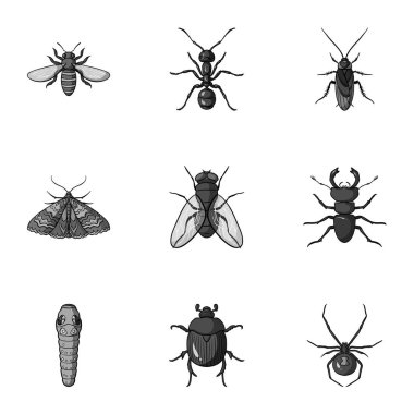Böcekler, tek renkli bir tarzda Icons set. Böcekler büyük toplama sembol stok illüstrasyon vektör