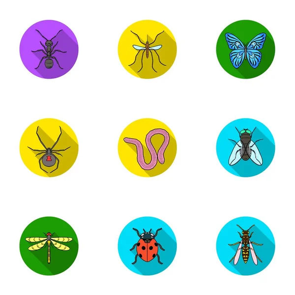 Insects set icons in flat style. Big collection of insects vector symbol stock illustration — Stock Vector