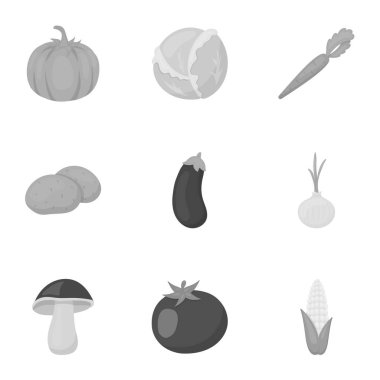 Sebze tek renkli bir tarzda Icons set. Sebzeler büyük toplama sembol stok illüstrasyon vektör