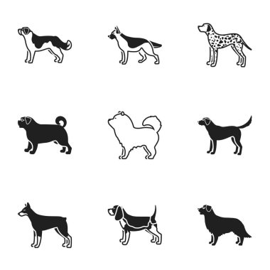 Köpek ırkları simgeler siyah tarzında ayarlayın. Köpek doğurmak büyük koleksiyonu sembol stok illüstrasyon vektör