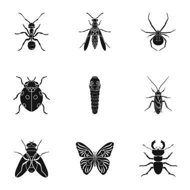 Böcekler simgeler siyah tarzında ayarlayın. Böcekler büyük toplama sembol stok illüstrasyon vektör