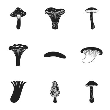 Mantar simgeler siyah tarzında ayarlayın. Mantar vektör simge stok çizim büyük toplama