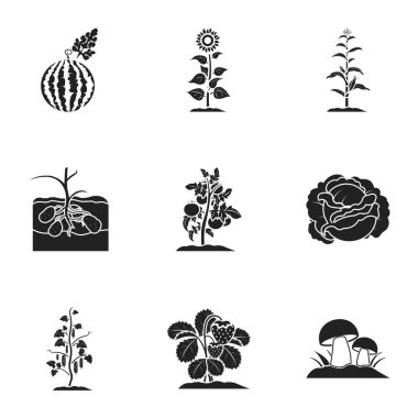 Bitki simgeler siyah tarzında ayarlayın. Bitki vektör simge stok çizim büyük toplama