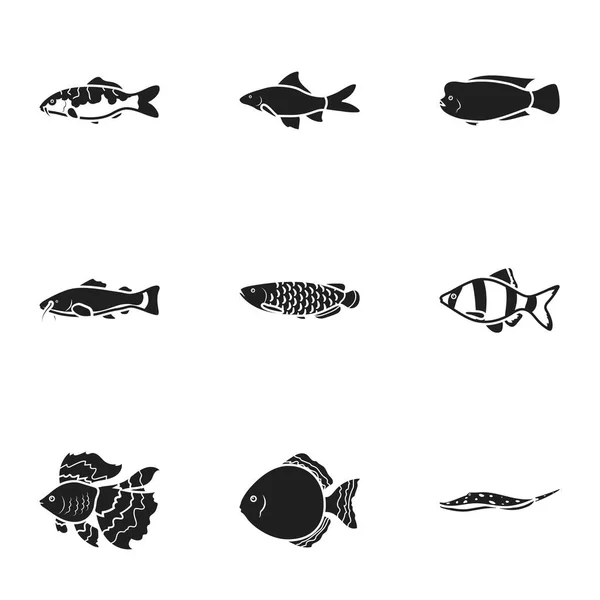 Peixes de aquário definir ícones em estilo preto. Grande coleção de aquário peixe vetor símbolo estoque ilustração — Vetor de Stock