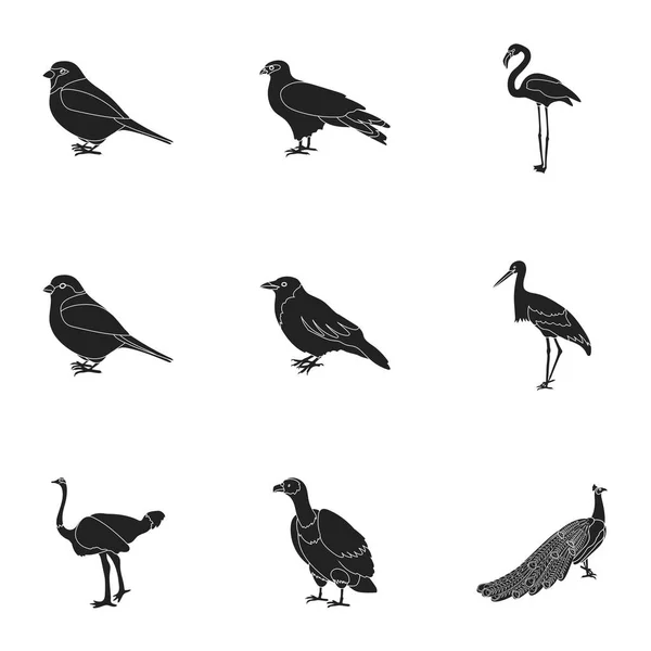 Vogel setzte Symbole im schwarzen Stil. Große Sammlung von Vogel-Vektor-Symbolen — Stockvektor