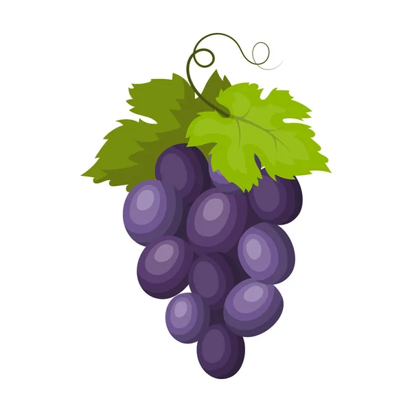 Grappolo di uva da vino icona in stile cartone animato isolato su sfondo bianco. Spagna paese simbolo stock vettore illustrazione. — Vettoriale Stock