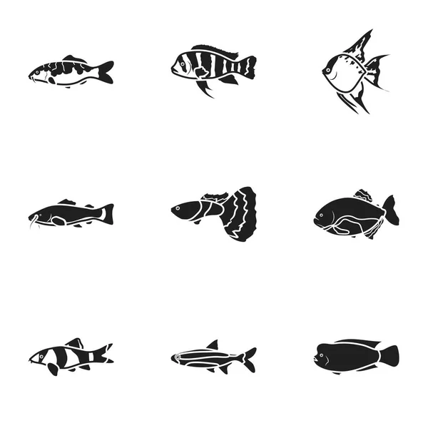 Aquarienfische setzen Symbole im schwarzen Stil. große Sammlung von Aquarienfischen Vektor Symbolstock Illustration — Stockvektor