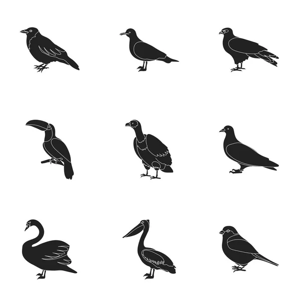 Fågel som ikoner i svart stil. Stor samling av fågel vektor symbol stock illustration — Stock vektor