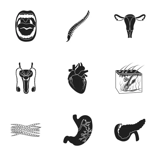 Los órganos establecen iconos en estilo negro. Gran colección de órganos vector símbolo stock ilustración — Vector de stock