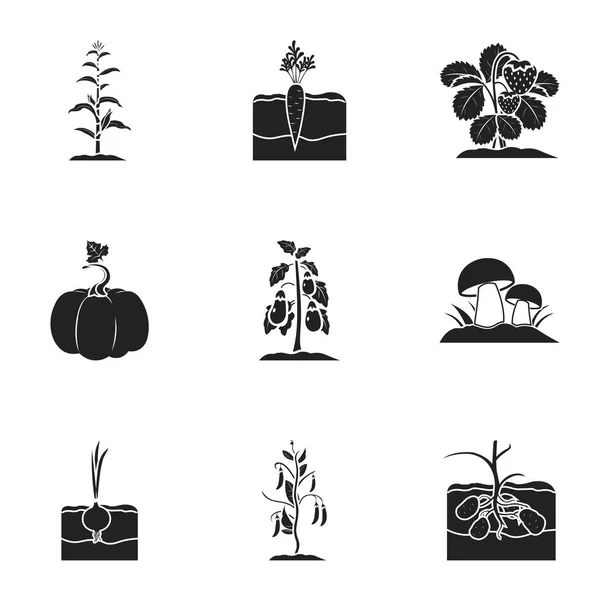 Набор иконок растений в черном стиле. Большая коллекция иллюстраций векторных символов растений — стоковый вектор