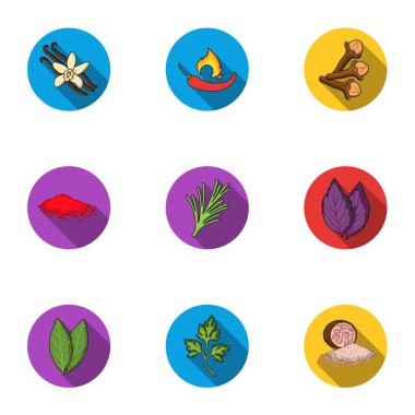 Ot ve baharat simgeler düz stil ayarlayın. Ot ve baharat büyük koleksiyonu sembol stok illüstrasyon vektör