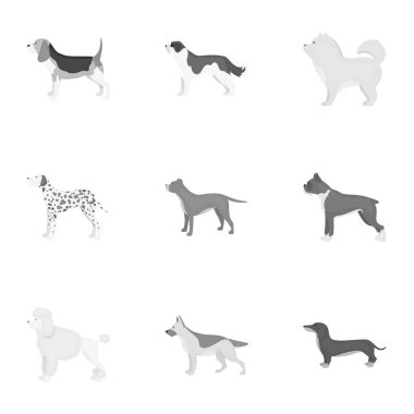 Köpek ırkları tek renkli bir tarzda Icons set. Köpek doğurmak büyük koleksiyonu sembol stok illüstrasyon vektör