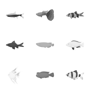 Akvaryum balık tek renkli bir tarzda Icons set. Akvaryum balık büyük toplama sembol stok illüstrasyon vektör