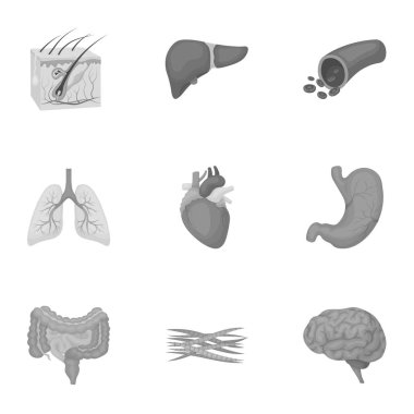 Organları tek renkli bir tarzda Icons set. Büyük koleksiyon organların sembol stok illüstrasyon vektör
