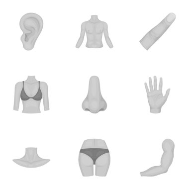 Vücut parçası tek renkli bir tarzda Icons set. Vücut vektör simge stok illüstrasyon parçası büyük toplama