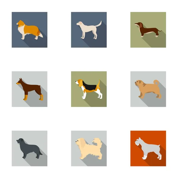 Las razas de perros establecen iconos en estilo plano. Gran colección de razas de perros vector símbolo stock ilustración — Vector de stock