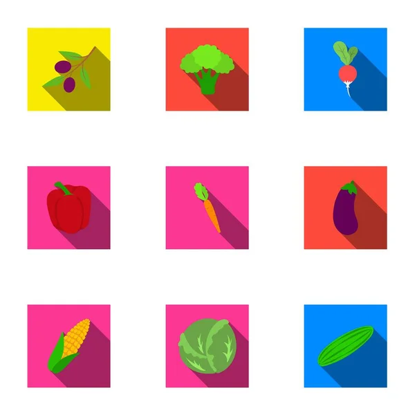Gemüse setzt Symbole im flachen Stil. große Sammlung von Gemüse Vektor Symbol Lager Illustration — Stockvektor