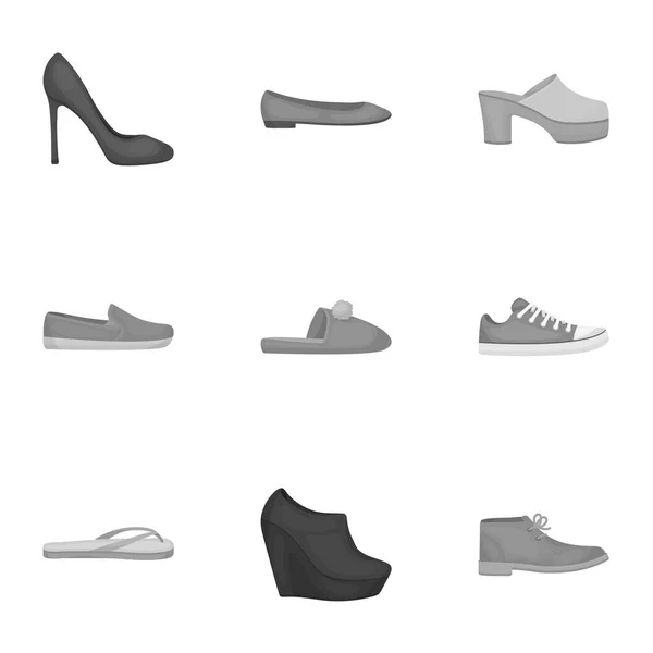 Shoes set icons in monochrome style. Big collection of shoes vector symbol stock illustration — Stock Vector