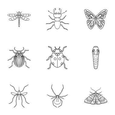 Böcekler simgeleri anahat stilinde ayarlayın. Böcekler büyük toplama sembol stok illüstrasyon vektör