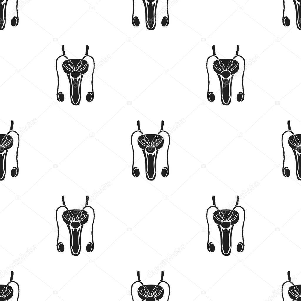 Male reproductive system icon in black style isolated on white background. Organs pattern vector illustration.