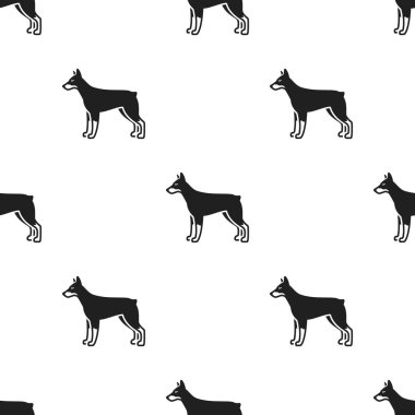 Doberman vektör simge siyah stil web için