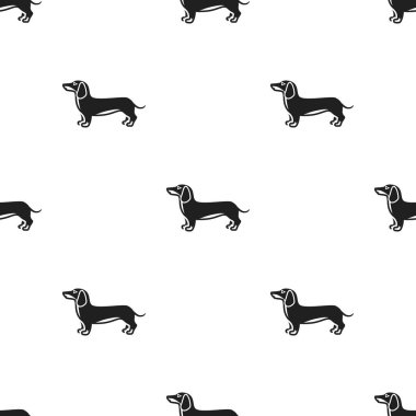 Dachshund vektör simge siyah stil web için