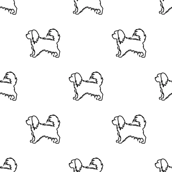 Icono vectorial pekinés en estilo negro para web — Vector de stock