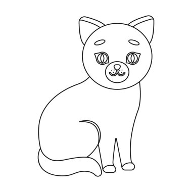 Kedi simge vektör çizim için web ve hareket eden
