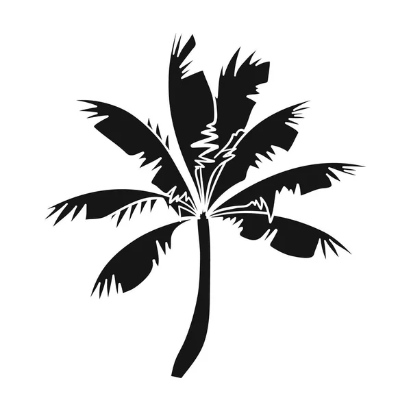 Palm tree ikona v černém stylu izolovaných na bílém pozadí. Procházení symbol akcií vektorové ilustrace. — Stockový vektor