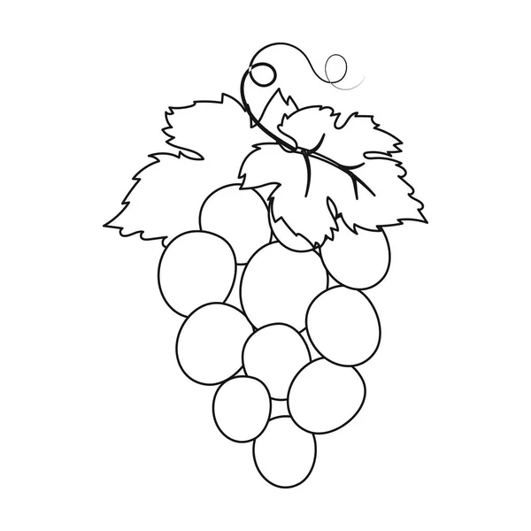 Bando de uvas de vinho ícone em estilo esboço isolado no fundo branco. Espanha país símbolo estoque vetor ilustração . —  Vetores de Stock