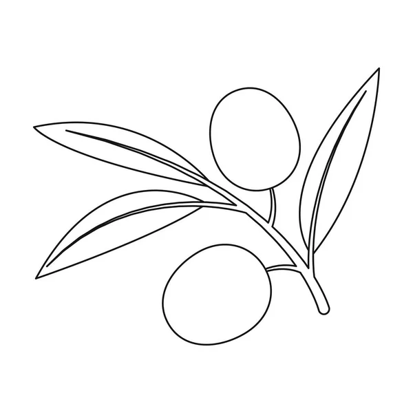 Zweig der Oliven-Symbol in Umriss Stil isoliert auf weißem Hintergrund. spanien land symbol aktienvektor illustration. — Stockvektor