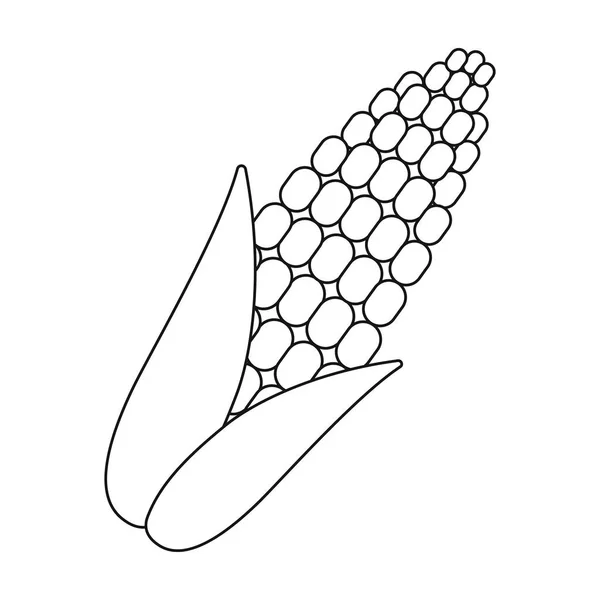 Icône de maïs contour. Singe icône des légumes du contour des aliments écologiques . — Image vectorielle