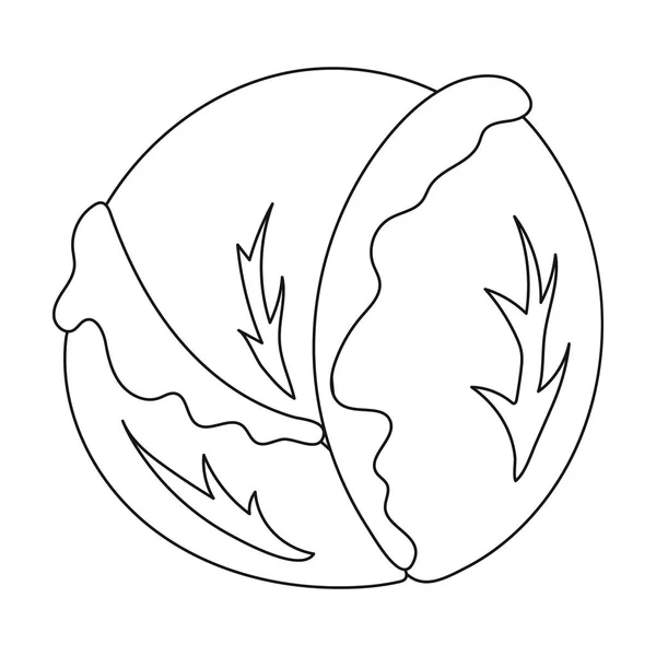 Cabbage icon outline. Singe vegetables icon from the eco food outline. — Stock Vector