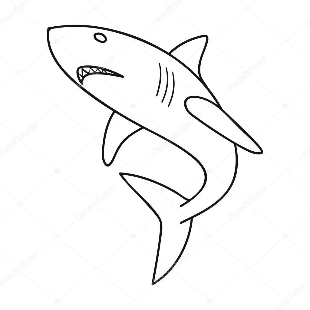 Free Free 162 Shark Outline Svg SVG PNG EPS DXF File