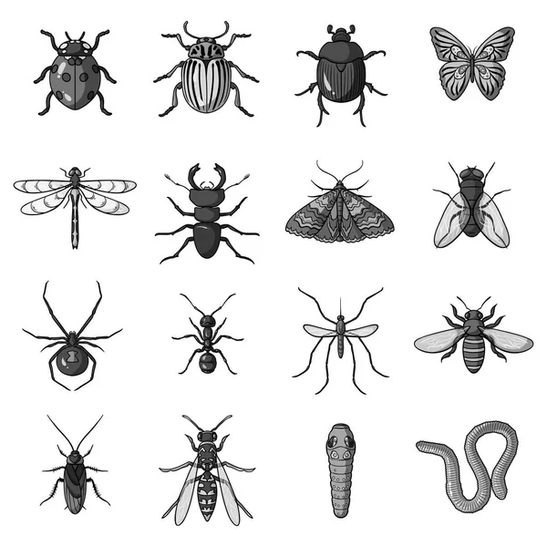 Insects set icons in monochrome style. Big collection of insects vector symbol stock illustration — Stock Vector