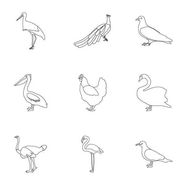 Ensemble d'oiseaux icônes dans le style de contour. Grande collection d'illustration de stock de symbole vectoriel oiseau — Image vectorielle