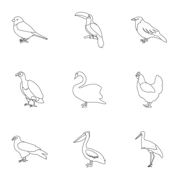 Pájaro establecer iconos en el estilo de contorno. Gran colección de aves vector símbolo stock ilustración — Vector de stock