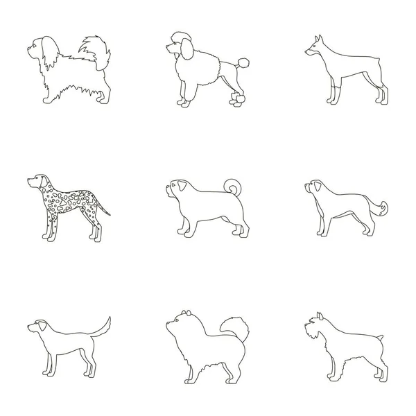 Dog breeds set icons in outline style. Big collection of dog breeds vector symbol stock illustration — Stock Vector