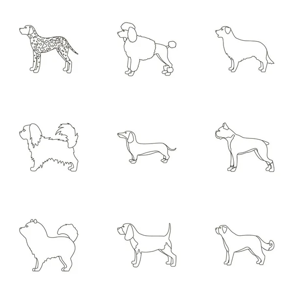 Races de chiens mis icônes dans le style de contour. Grande collection de races de chiens vecteur symbole illustration de stock — Image vectorielle