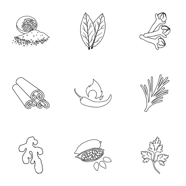 Hierbas y especias establecen iconos en estilo de contorno. Gran colección de hierbas y especias vector símbolo stock ilustración — Vector de stock