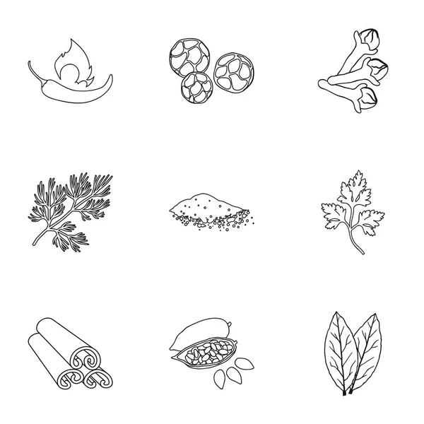 Kruiden en specerijen die pictogrammen in kaderstijl. Grote verzameling van kruiden en specerijen vector symbool stock illustratie — Stockvector