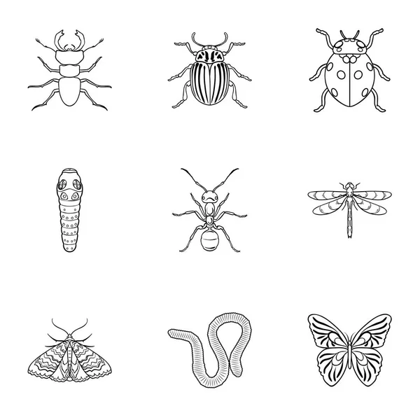 Les insectes placent les icônes dans un style de contour. Grande collection d'insectes vecteur symbole illustration stock — Image vectorielle